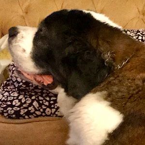 Meet your Posher, T-michael